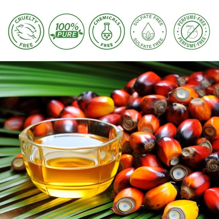 Benefits of Batana Oil Beyond Hair Growth