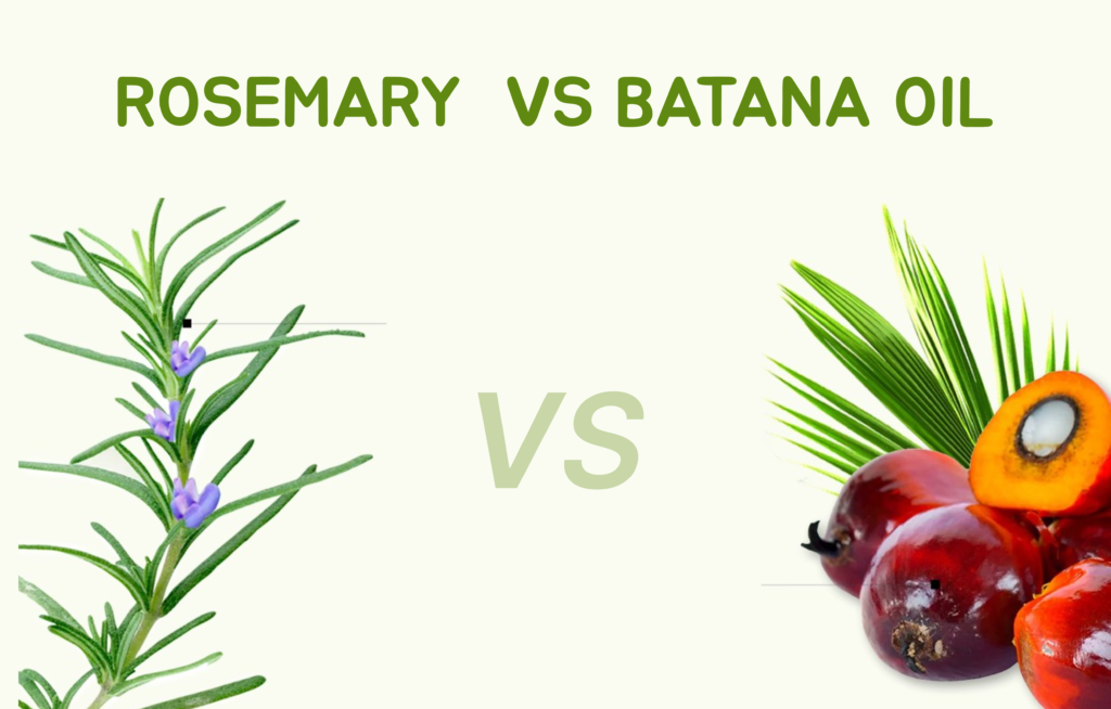 Batana Oil vs Rosemary Oil