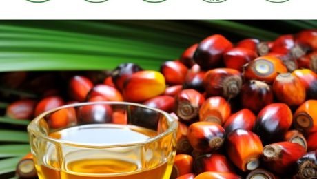 Benefits of Batana Oil Beyond Hair Growth
