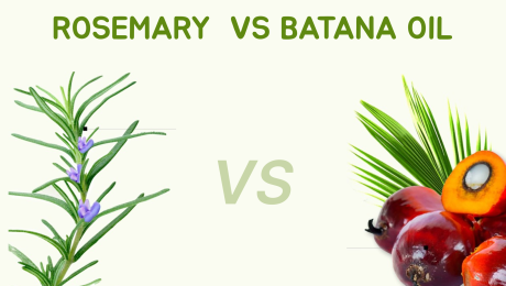 Batana Oil vs Rosemary Oil